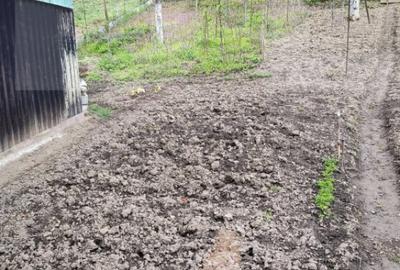 Vand casa la Nadrag zona linistita foarte aproape de centru - 2