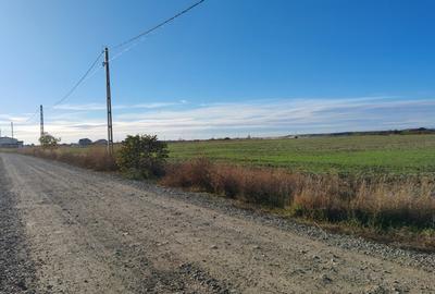 Teren de vanzare in Balotesti - 22.819 mp cu PUZ aprobat. - 2