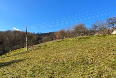 Teren intravilan 6.229 mp Șuncuiuș – râu, izvor, ideal business turistic - 5