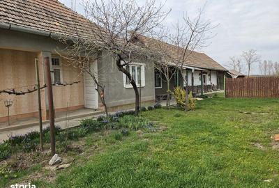 Casă cu 3 camere cu Teren 130 Mp în Cherechiu - 4