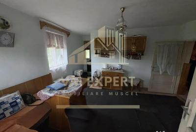 Casă cu 7 camere cu Teren 468 Mp în Bughea de Sus - 12