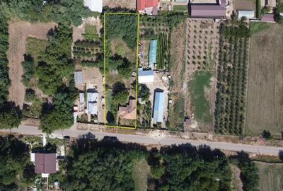 Casa de vanzare (curte 1900mp) Dragoe?ti, jud. Ialomi?a (40-50 km de Bucure?ti) - 3