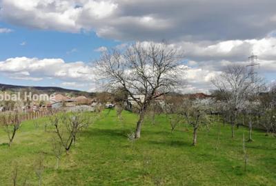 Teren de 4898 mp, în Cornu - 7