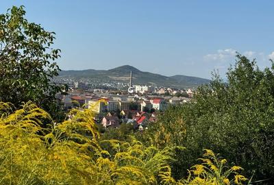 Teren intravilan de vanzare -3900 €/ar , 3 minute de parc!!! - 2