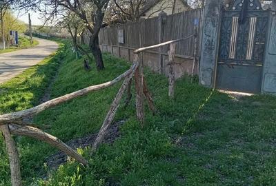 Casă cu 4 camere cu Teren 7000 Mp în Verbița - 5