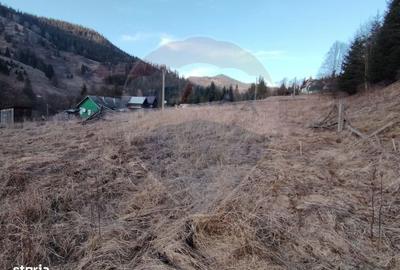 Casă cu 2 camere în Ortoaia - 1