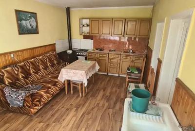 Casă cu 6 camere cu Teren 4200 Mp în Craiva - 3