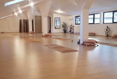 Birou, de 170 mp, în Universitate - 9