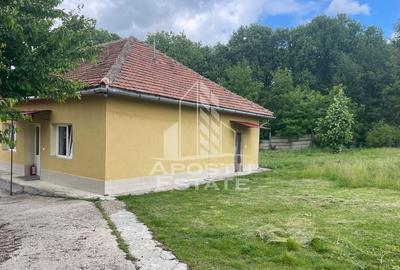 Spatii productie si depozitare, zona Sebis - Prunisor-Carand - 18