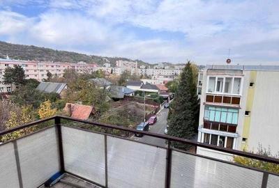Apartament cu 2 camere semidecomandat în Dosu Bricii - 1