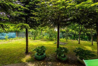 Vila oportunitate, 6 camere, teren 1.000 mp, de vanzare, Snagov - 22