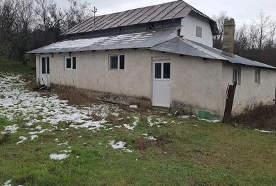 Casă cu Teren 3500 Mp în Rădești - 4