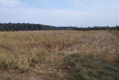 VANZARE TEREN COM BALOTESTI, SAT SAFTICA VANZARE TEREN COM BALOTESTI, SAT SAFTICA - 10