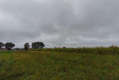 Teren intravilan, 5200mp, front 27ml, Fratautii Vechi, Radau - 2