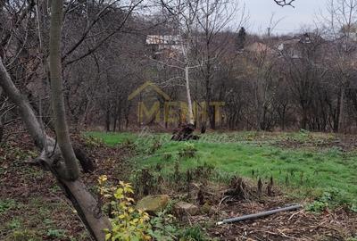 Casă individuală cu 4 camere cu Canalizare în Băicoi - 9