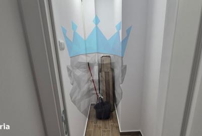 Apartament cu 2 camere, mobilat în Grivița - 18