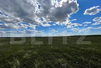 Teren extravilan, 2.800 mp, doua fronturi, Izvorul Rece - 2