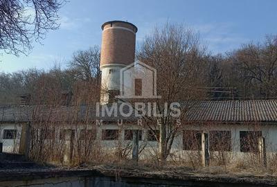 Teren intravilan I 13134 mp I cu potențial de business | zona Budiu - 10