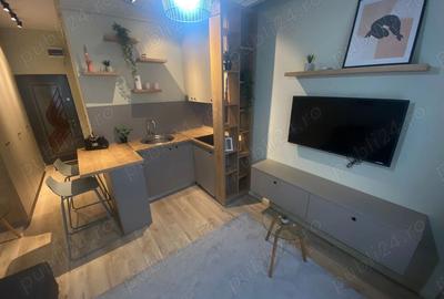 Dau in chirie ap 21m2 pe Taberei - 4