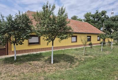 Casa de vanzare - Crai Nou, jud Timis - SAU schimb cu apartament 2 camere in Tim - 9
