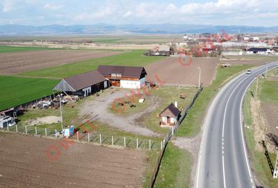Casă individuală cu 7 camere în Est