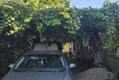 Casă individuală cu 5 camere cu Teren 1292 Mp în Peretu - 2