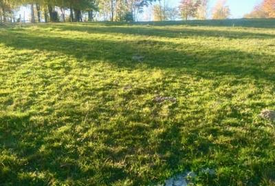 Teren intravilan de vanzare – Bran, Sohodol - 3