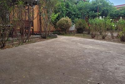 CASA SUPERBA 4 CAMERE ZONA VALU LUI TRAIAN 933MP - 28