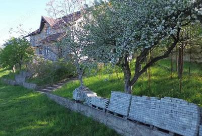 Teren 4800 mp cu Livada si Casa Nefinalizata - Adancata! - 2