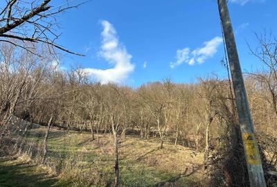 Spațiu comercial, în Cărbunești - 1