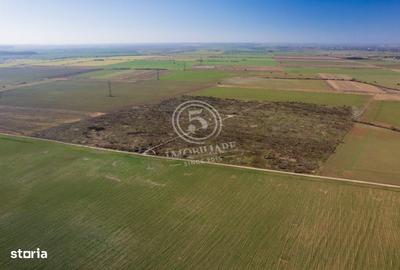 Spațiu comercial, în Săftica - 8