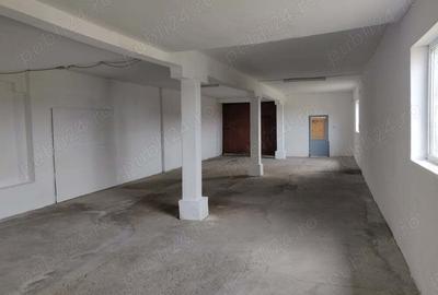 Hala compartimentata in spatii 400mp (2 EUR per MP) de inchiriat, ZONA Rachel - 3