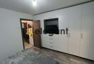 Garsonieră semidecomandată, mobilată în Brazda lui Novac - 2