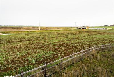 Spațiu comercial, în Roit - 7