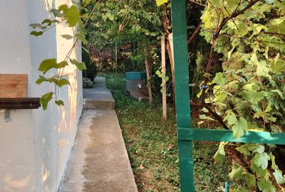 Casa cu garaj de vanzare in ?tefane?ti - Arge? | Proprietar - 3