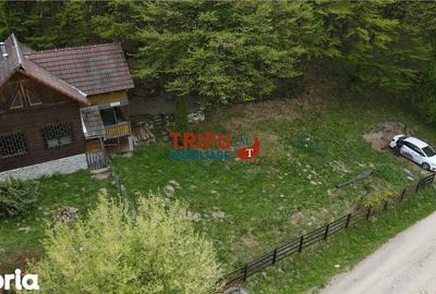 Casă cu 4 camere cu Teren 891 Mp în Ighiu - 10