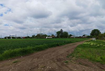 Teren Construcții intravilan de 10000 mp, în Dascălu - 2