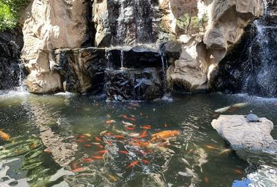 Garsoniera Herastrau North Lake - 10