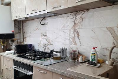 Apartament cu 4 camere decomandat în Micălaca - 4