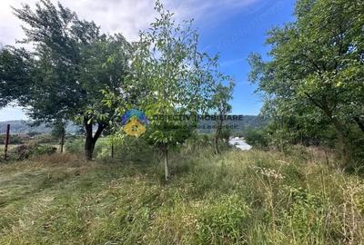 Teren de Vanzare 1172 mp Dumbrava Ro?ie, Neam? - 2