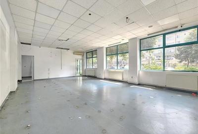 Mioritei, Spatiu comercial, 100mp - 4