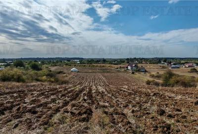 Ferma 3,3ha, din care 2,5ha intravilan, vila 7 camere, D+P+E+M, casa pentru munc Ferma 3,3ha, din care 2,5ha intravilan, vila 7 camere, D+P+E+M, casa pentru munc - 16