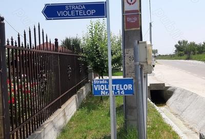 Teren de 500 mp, în Vedea - 2