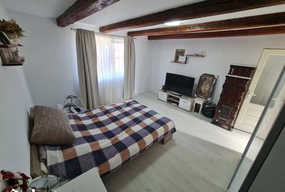 Casă cu 2 camere decomandat cu Teren 1230 Mp în Bocsig - 12