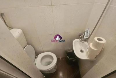 2 garsoniere de vanzare Mosilor, Sector 2-Marian - 14