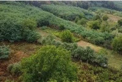 Teren Duta-Epureni, ID: R2757048 - 9