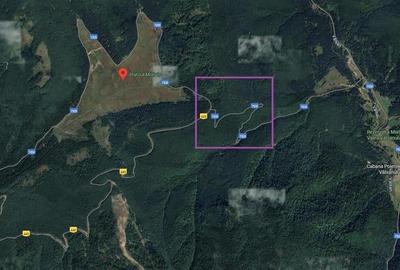 Teren 7 ha, Lac Vidraru, Podis Molivis Teren 7 ha, Lac Vidraru, Podis Molivis - 7