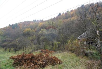 Teren 35,232mp Sighetu Marmatiei / Strada Valea Cufundoasa - 9