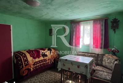 Casă cu 1 camere cu Teren 3000 Mp în Copăcel - 12