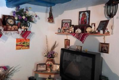 Casă cu 2 camere în Păltiniș - 3